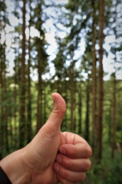 Marc Hénin, la dynamique positive Marc Hénin, la dynamique positive