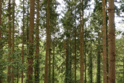 Marc Hénin, Coach Motivateur Marc Hénin, Coach Motivateur