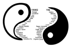 Notre organisme, le juste équilibre du Yin Yang.