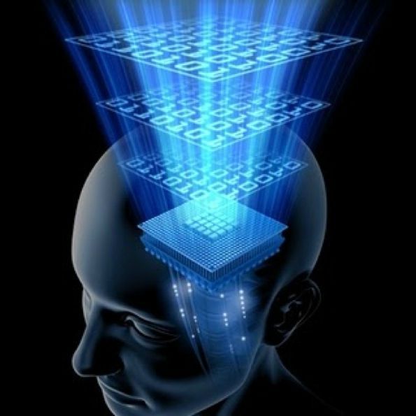 Le cerveau, un super ordinateur à entretenir.
