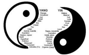 Notre organisme, le juste équilibre du Yin Yang.